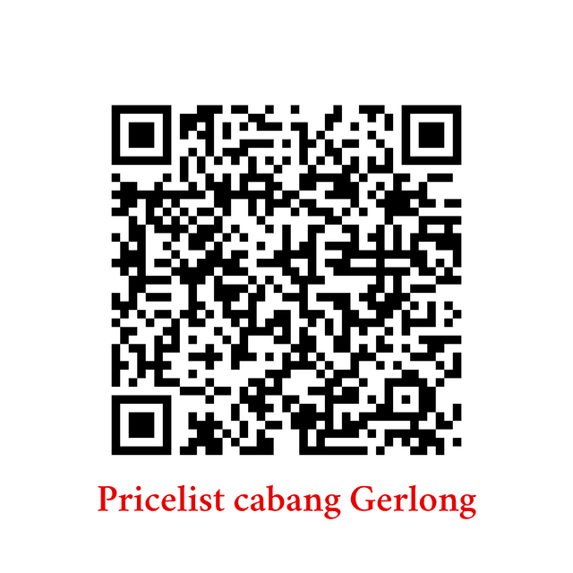 Katalog Vidiz Gerlong