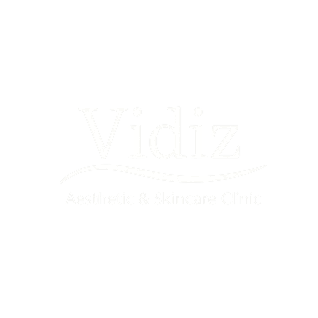 Logo vidiz footer